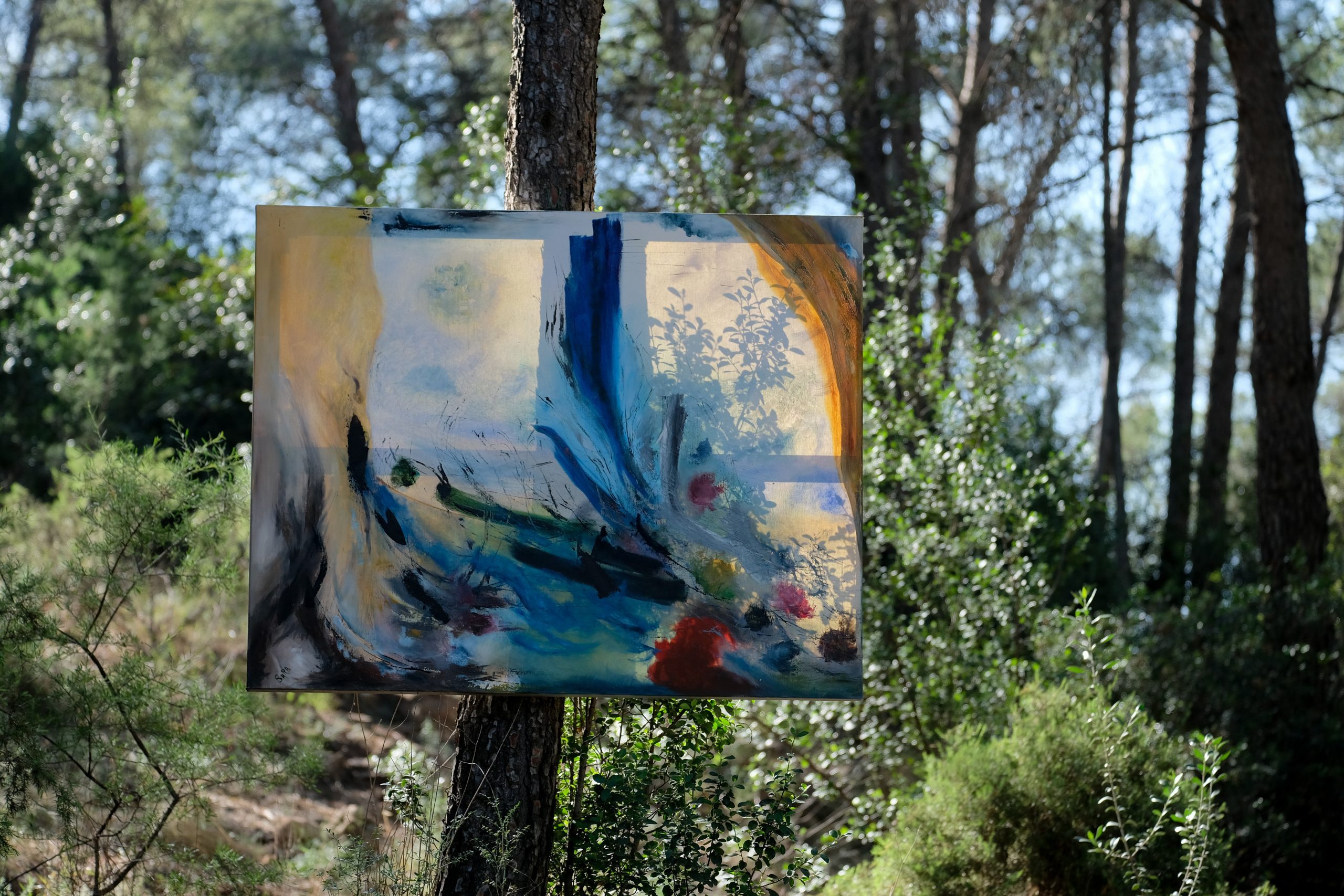 Colección arte y naturaleza