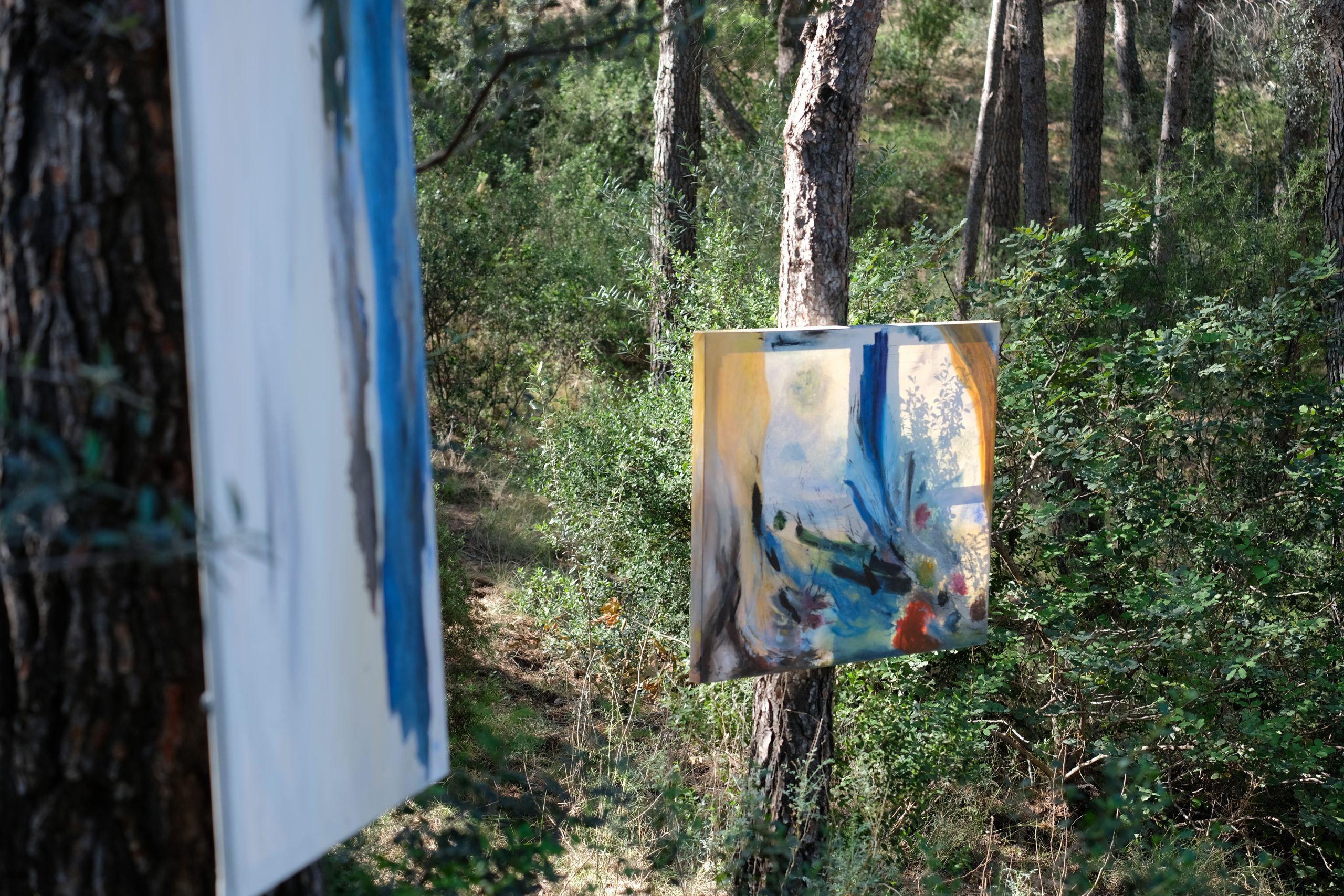 Colección arte y naturaleza