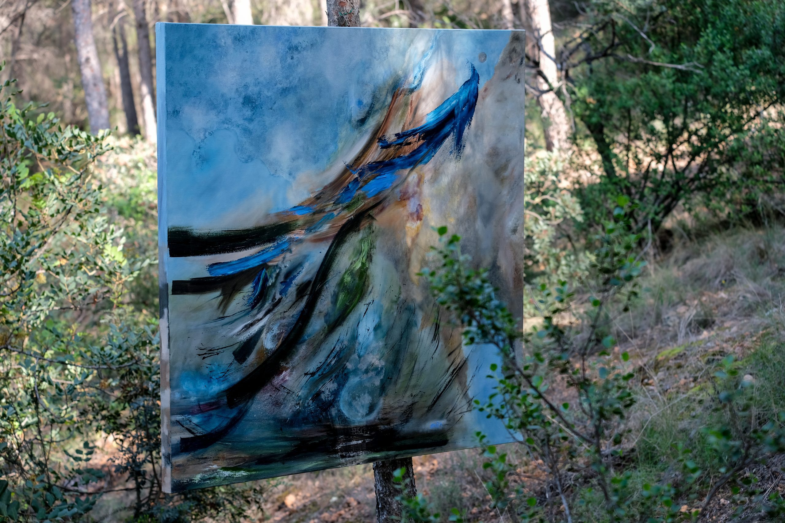 Colección arte y naturaleza