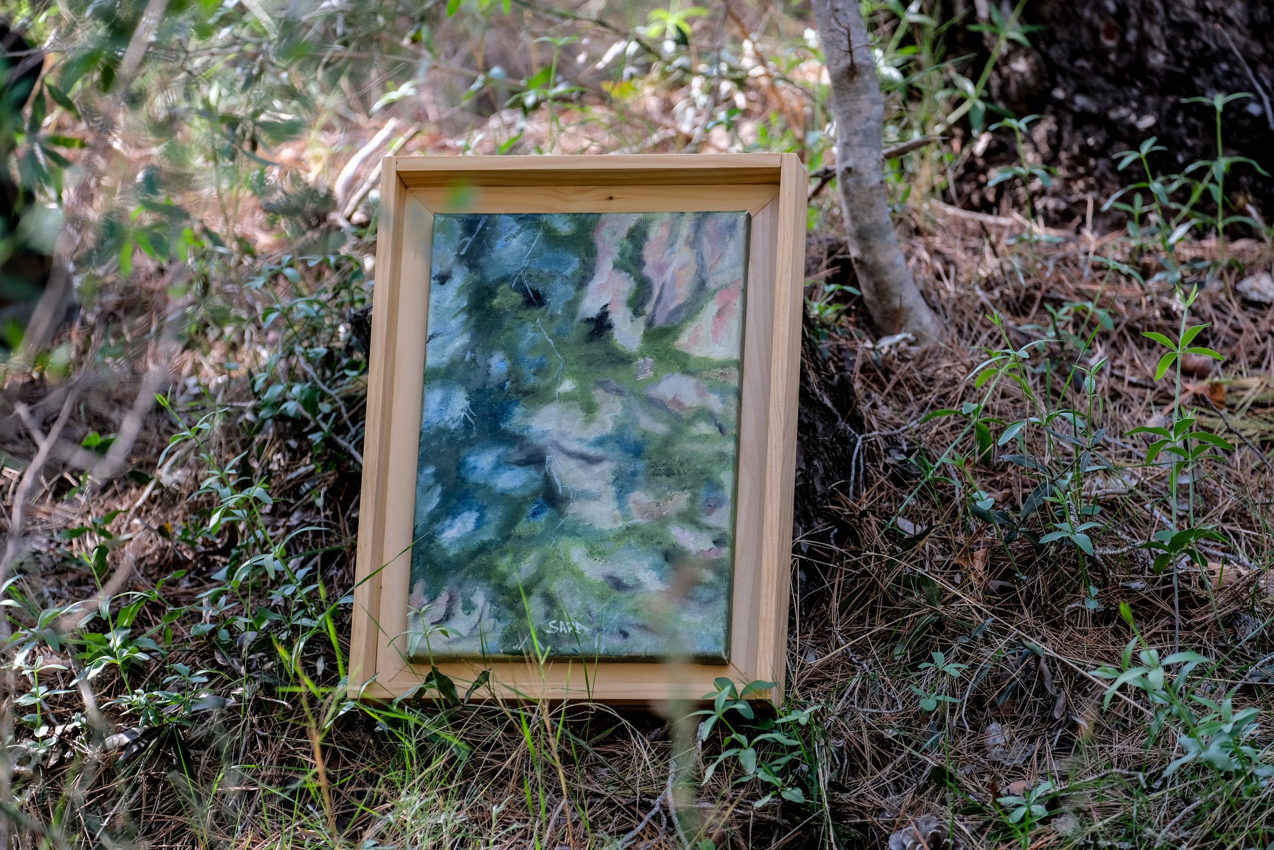 Colección arte y naturaleza