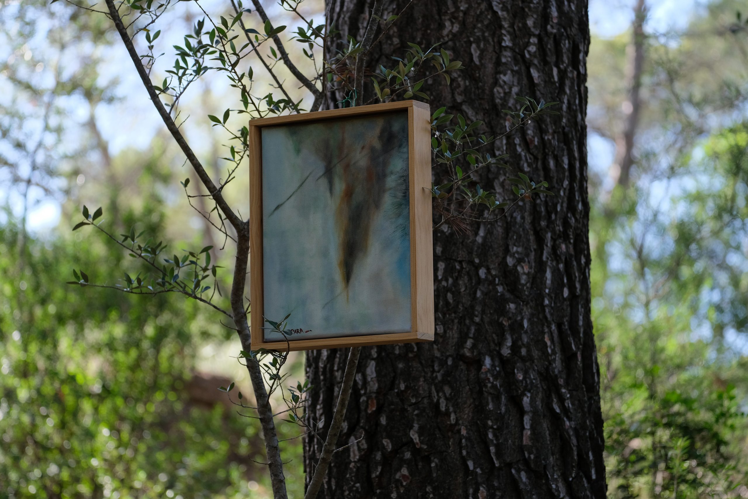 Colección arte y naturaleza