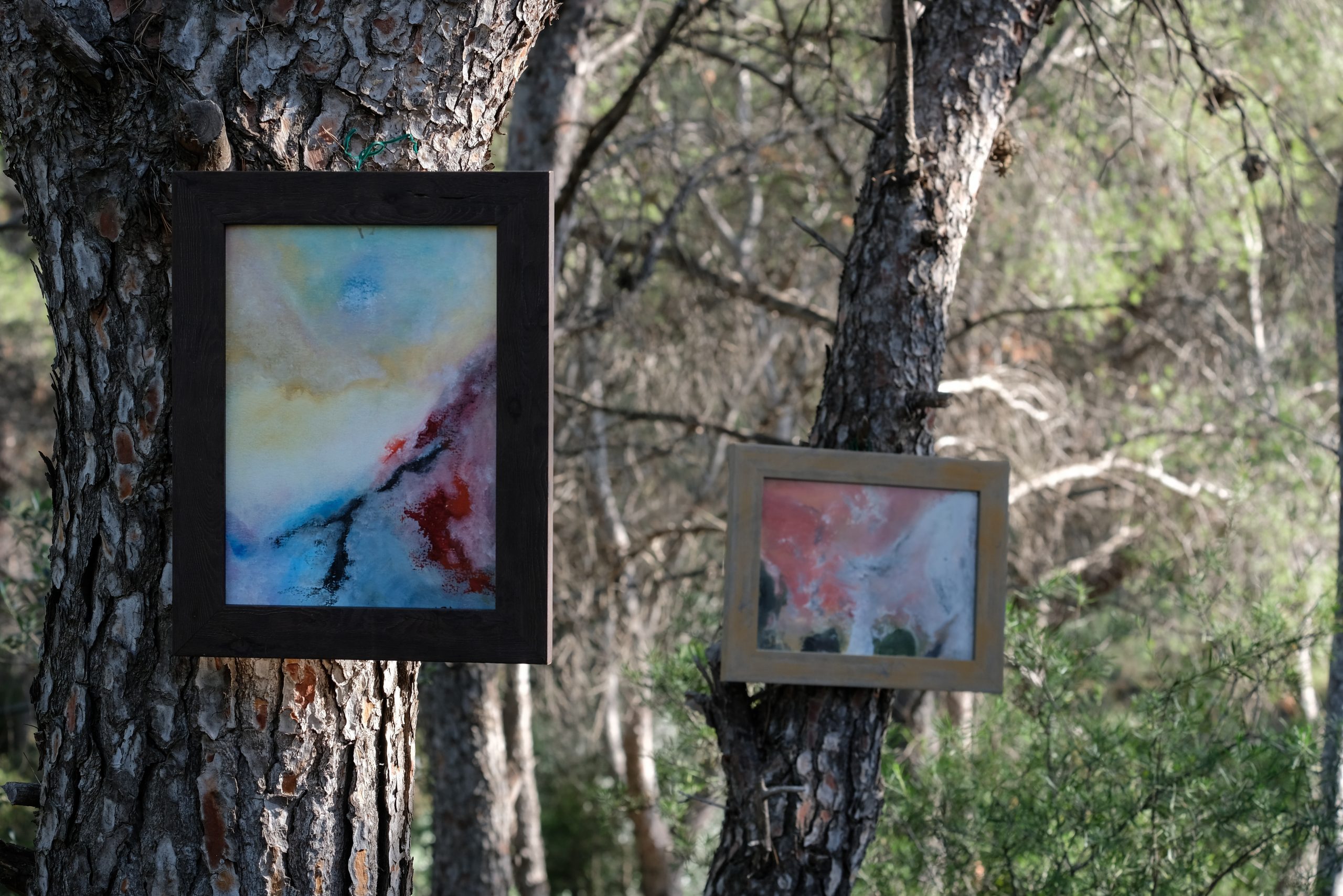 Colección arte y naturaleza