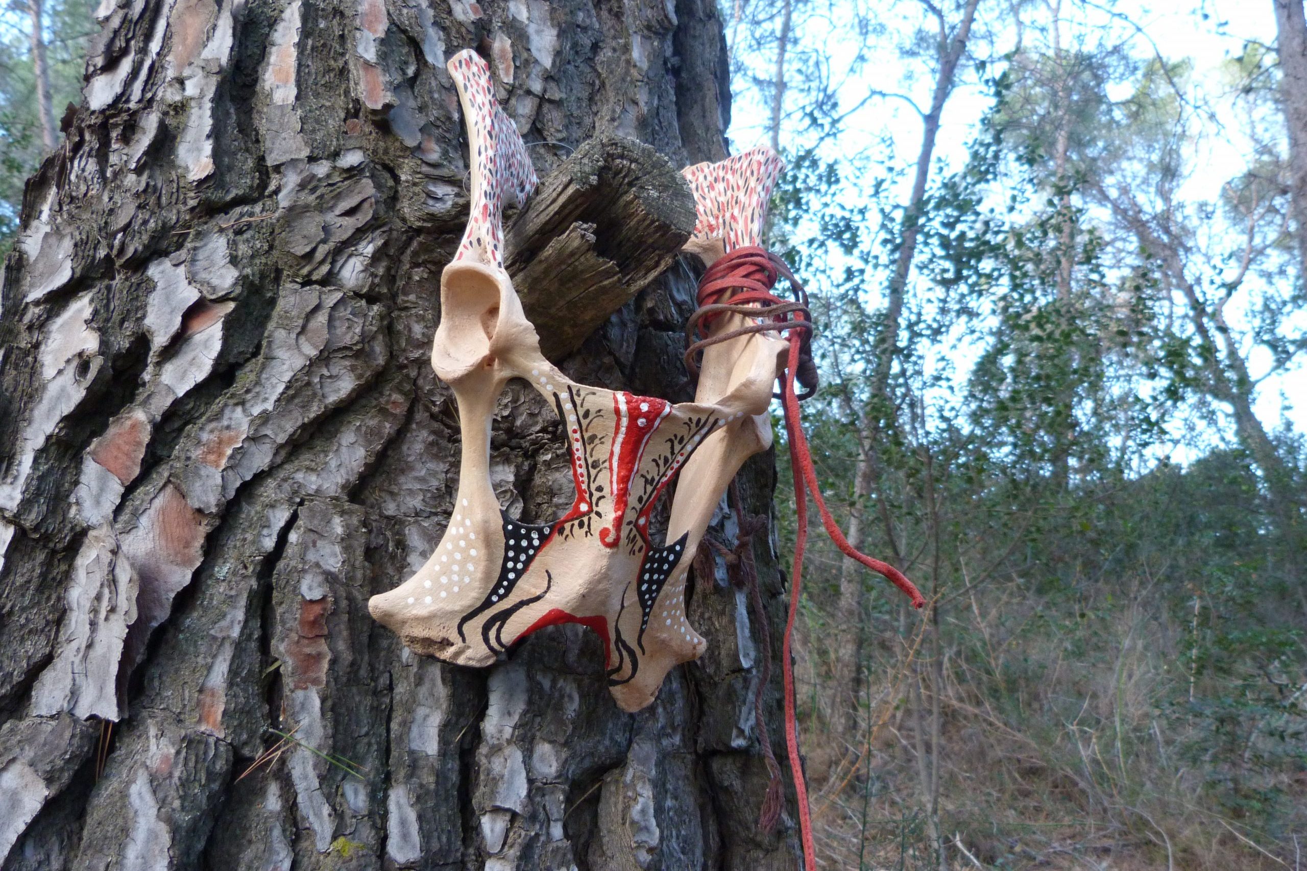 Colección arte y naturaleza