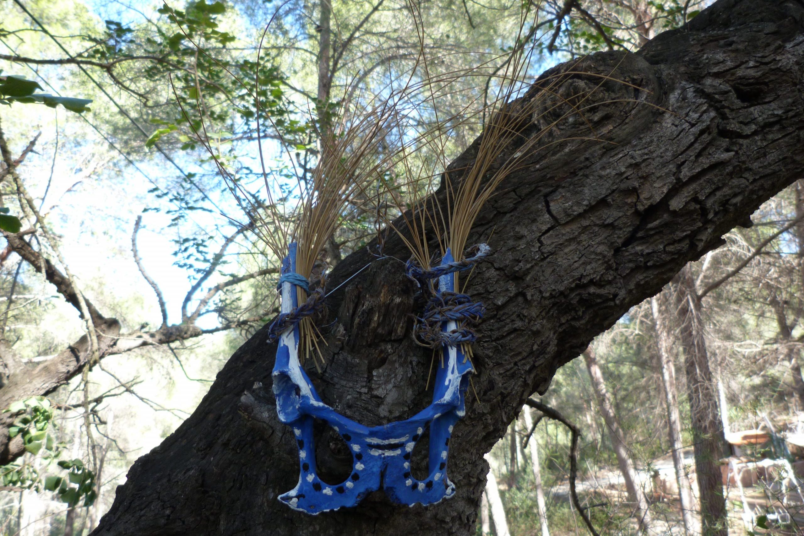 Colección arte y naturaleza