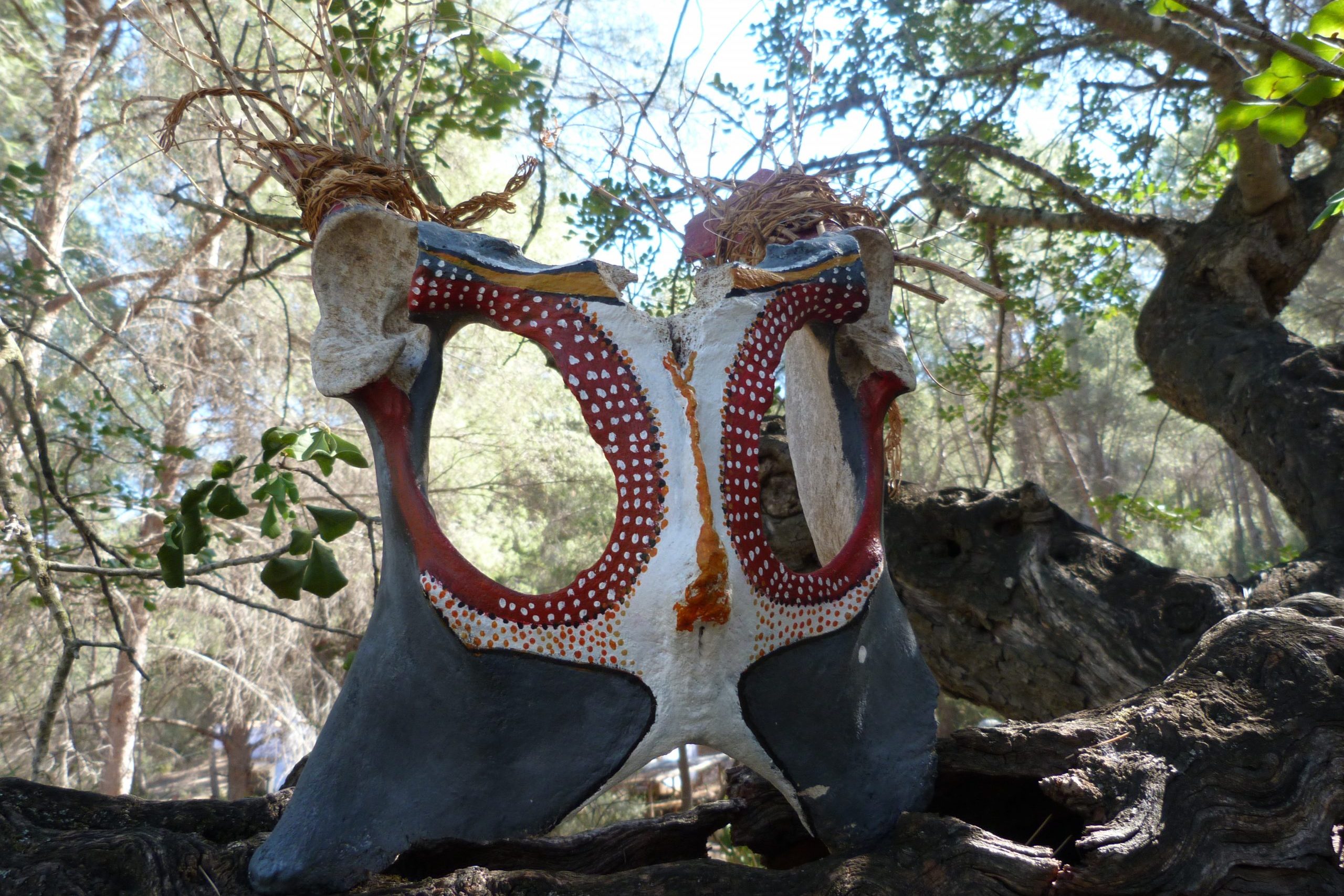 Colección arte y naturaleza